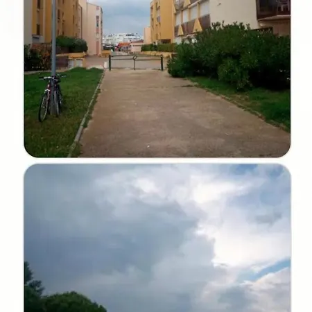 公寓 P2 + Du Roi *